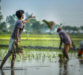 Environment & Sustainability